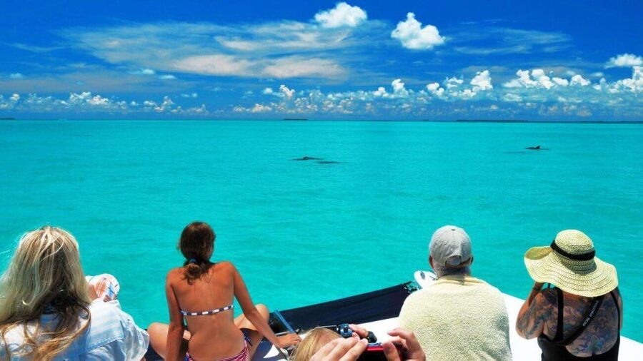 Key West: Dolphin Watching and Snorkeling Eco Cruise Tour - Looking for dolphins without chasing them