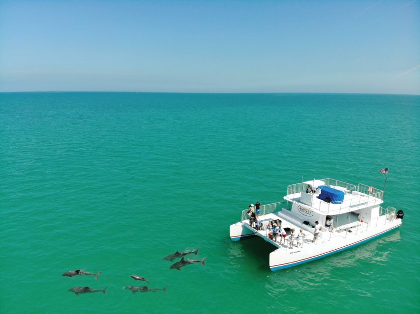 Key West: Dolphin Watching and Snorkeling Sunset Cruise - Key points to know before booking