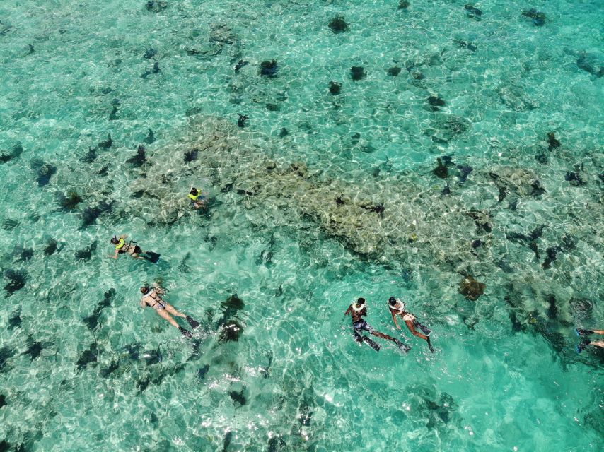 Key West: Dolphin Watching and Snorkeling Sunset Cruise - Cottrell Key and the wildlife refuge