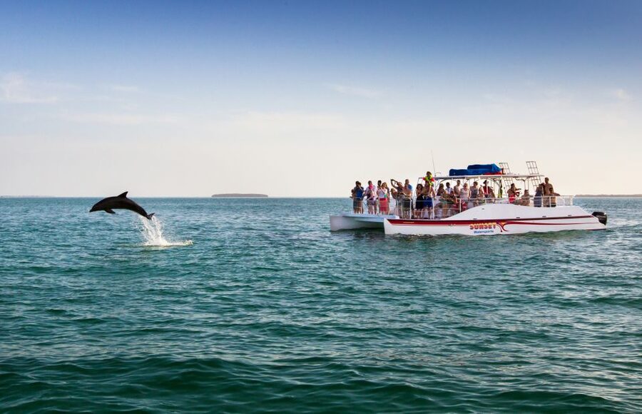 Key West: Dolphin Watching and Snorkeling Sunset Cruise - Snorkeling for about 45 minutes