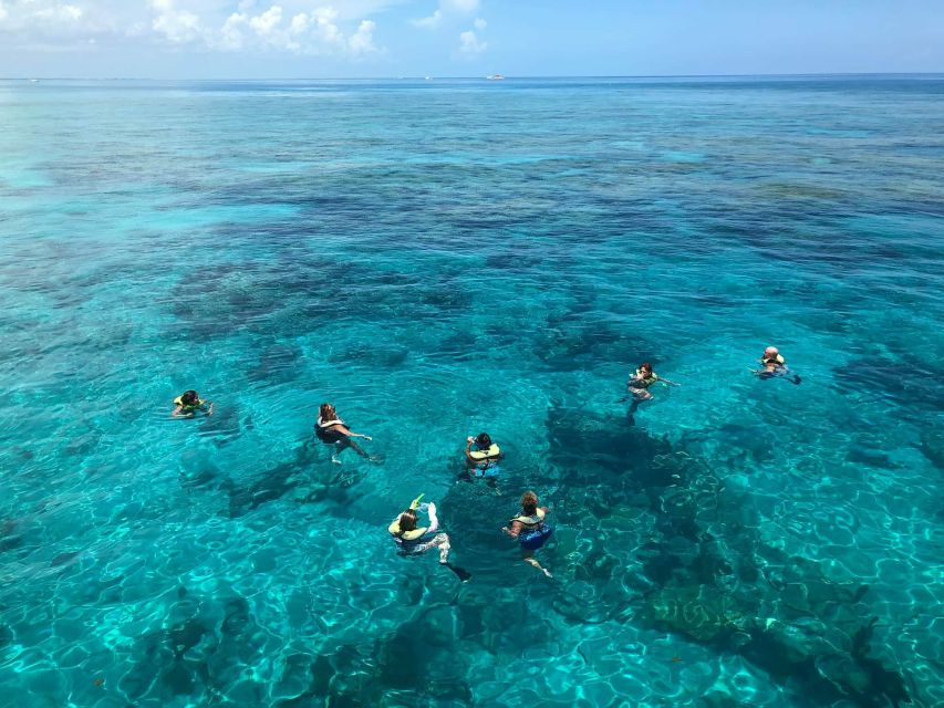 Key West: Dolphin Watching and Snorkeling Sunset Cruise - Is $79 a fair price?