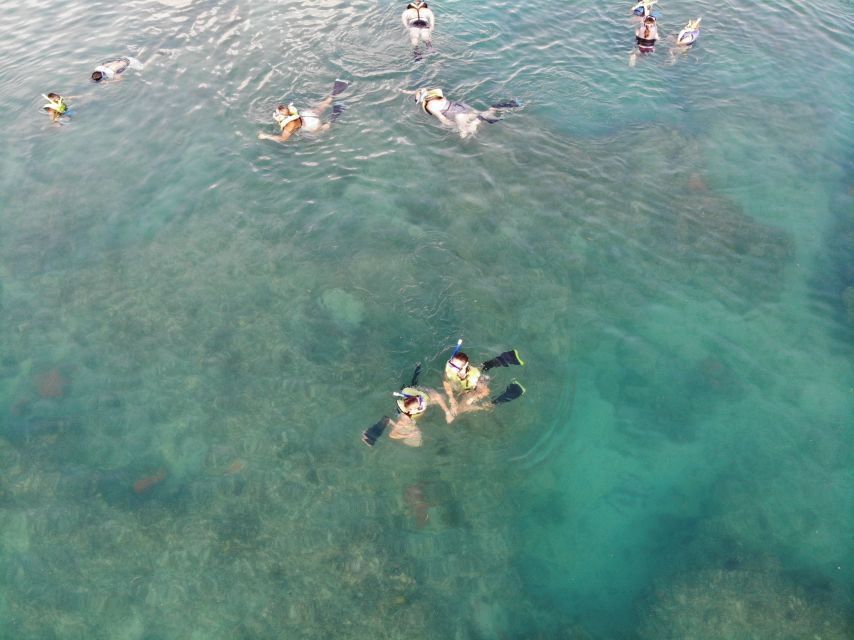Key West: Dolphin Watching and Snorkeling Sunset Cruise - Who should book this cruise?