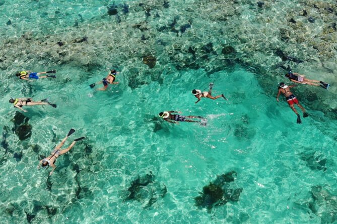 Key West: Dolphin Watching cruise & Snorkeling unlimited beer & soda - Snorkeling at the reef or a sheltered site