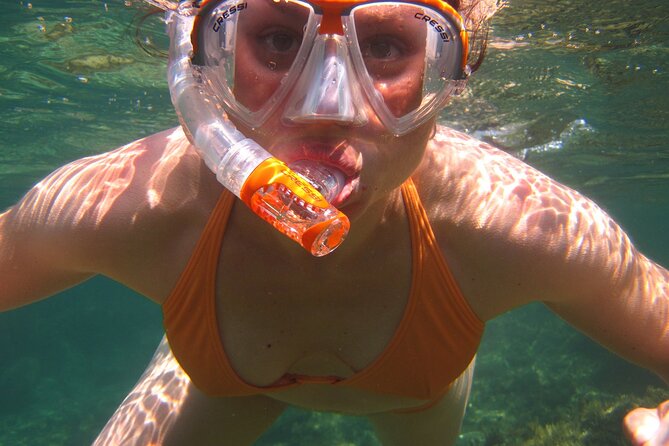 Key West: Dolphin Watching cruise & Snorkeling unlimited beer & soda - How weather can change the experience