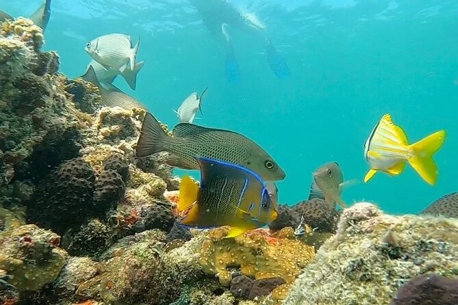 Key West Private Charter: Sandbar and Snorkeling - Finding a sandbar for swimming and sitting