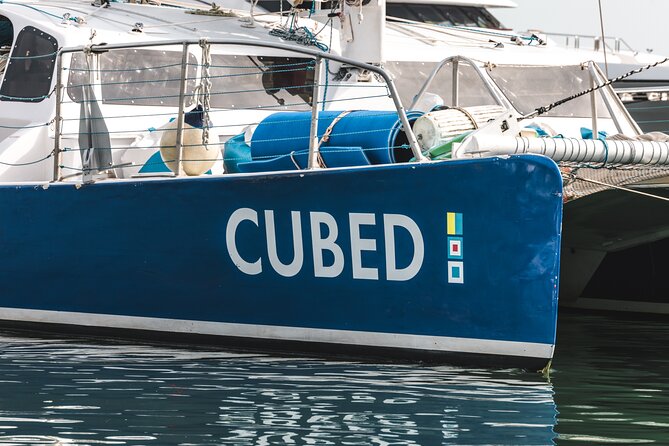 Key West's Favorite Afternoon Dolphin Sail - Key points to know before you sail