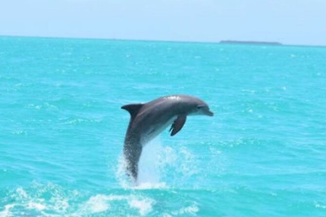 Key West's Favorite Afternoon Dolphin Sail - Drinks, snacks, and the onboard mood