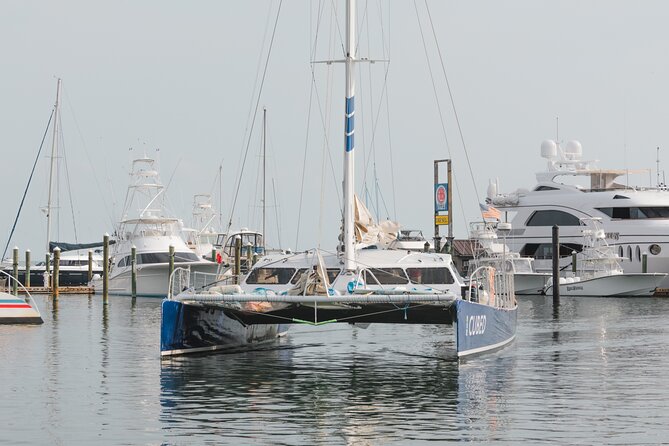 Key West's Favorite Afternoon Dolphin Sail - Who will enjoy this Key West cruise