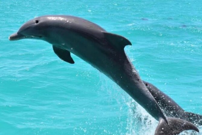 Key West's Favorite Afternoon Dolphin Sail - Cruising toward Sunset Key
