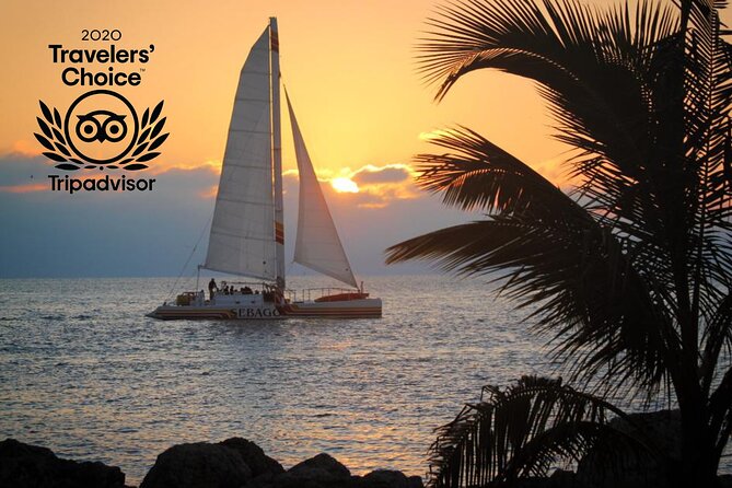 Key West Sunset Sail: Dolphin Watching, Wine, and Tapas - Should you book it?