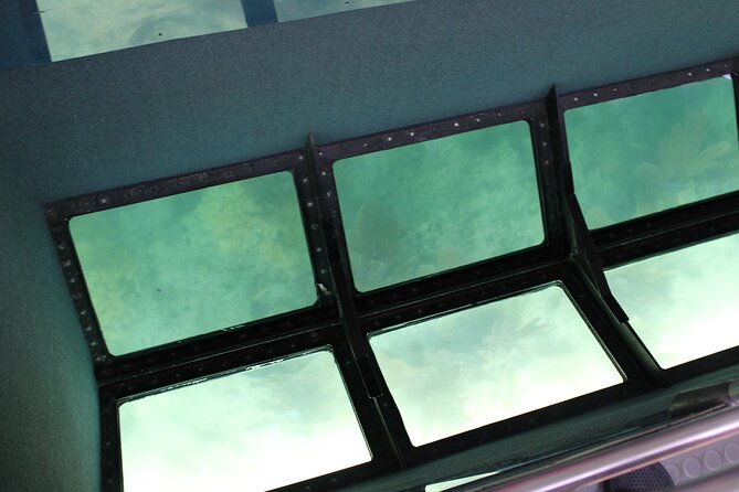 Key West Tours from Miami: Dolphin Discovery, Snorkeling & More ! - Coral reef activities add value, but check your option