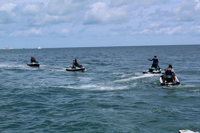 Key West Tours from Miami: Dolphin Discovery, Snorkeling & More ! - Who will get the most from this Key West day trip