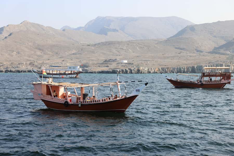 Khasab: Dhow Cruise with Lunch, Dolphin Watching& Snorkeling - Seebi Island: the second chance to get wet
