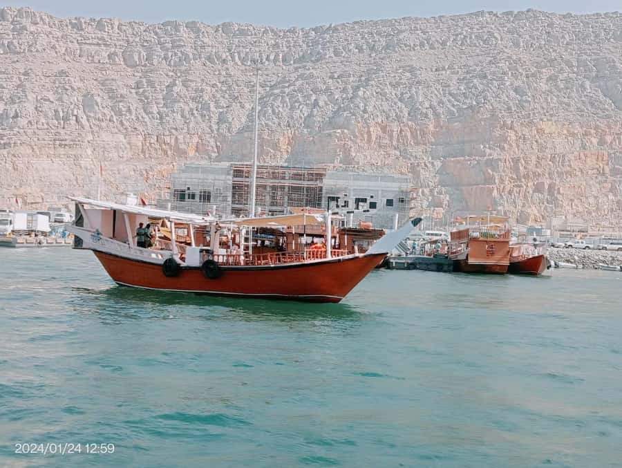 Khasab: Half-Day Dhow Cruise, Dolphin Watching, & Snorkeling - Who Will Enjoy This Trip Most?