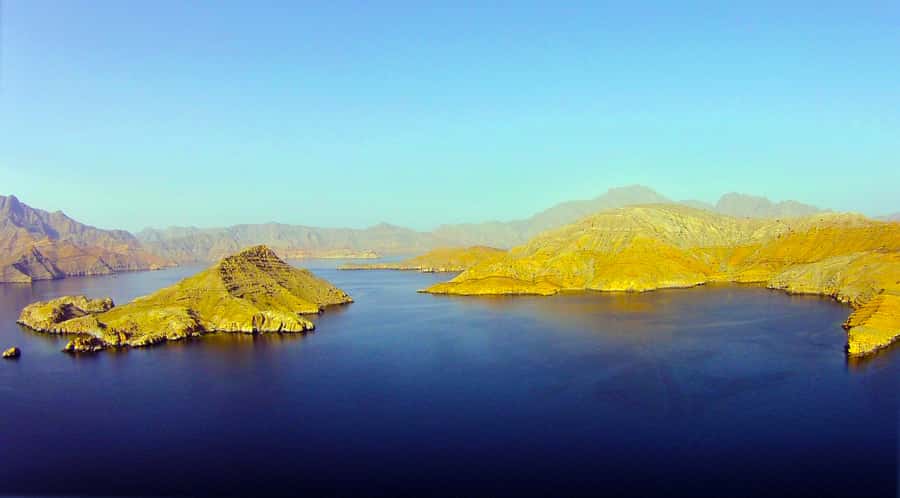 Khasab: Half-Day Dhow Cruise with Dolphin Watching - What the $37 price really covers