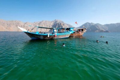 Khasab Musandam |Telegraph Island |Dhow Cruise | Dolphins