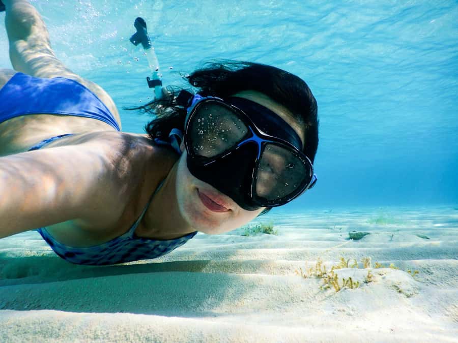 Koh Samui: Pink Dolphin, Pig Island, and Snorkeling Day Trip - Why this tour works as a Koh Samui day out