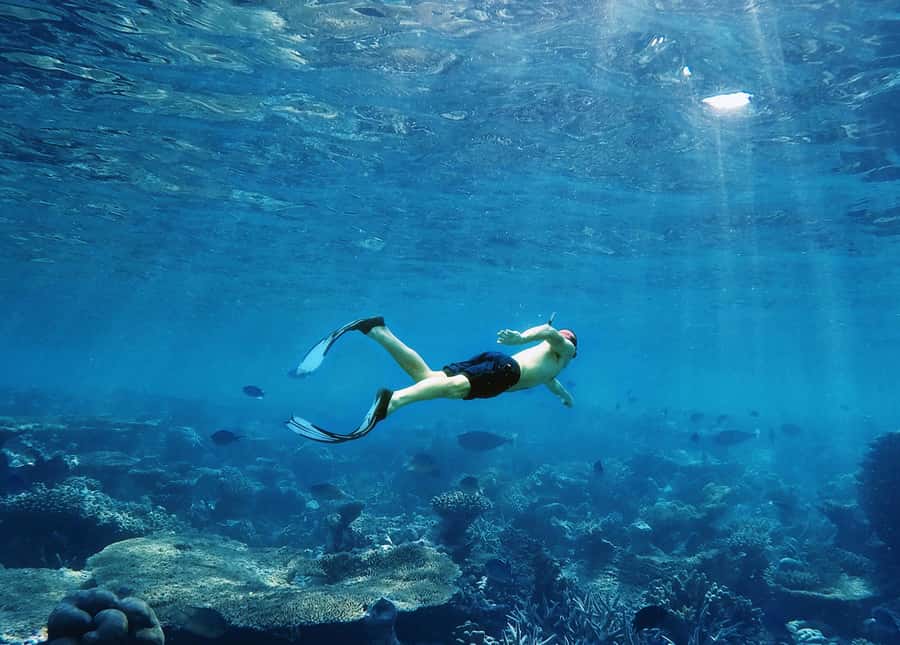 Koh Samui: Pink Dolphin, Pig Island, and Snorkeling Day Trip - Koh Tan snorkeling: good fun, variable visibility