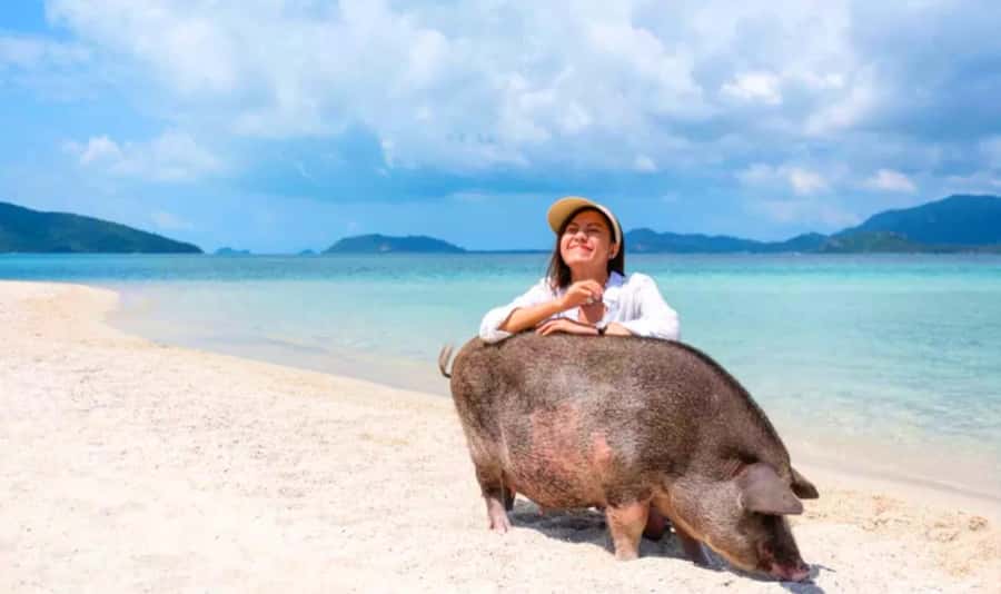 Koh Samui: Pink Dolphin, Pig Island, and Snorkeling Day Trip - The speedboat ride from Koh Samui
