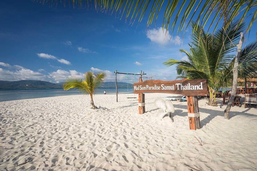Koh Samui Pink Dolphin Sightseeing and Snorkelling Tour - Boat seating can shape your whole day