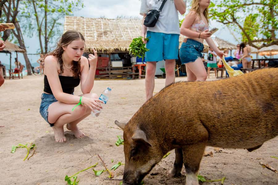 Koh Samui: Pink Dolphin Spotting & Pig Island Speedboat Tour - Practical tips for a smoother day
