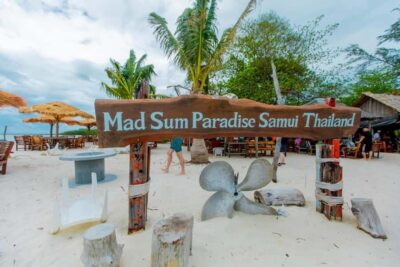 Koh Samui: Pink Dolphin Spotting & Pig Island Speedboat Tour