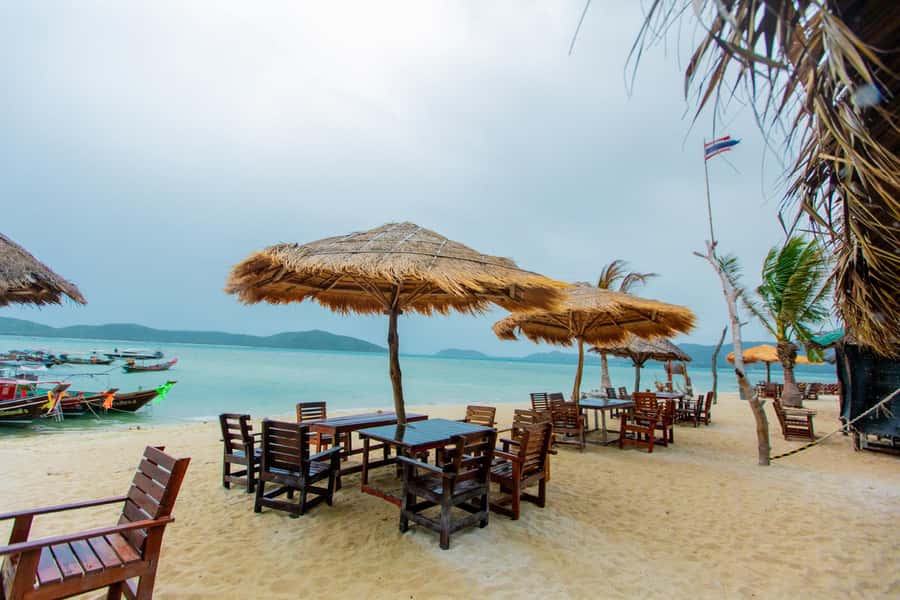 Koh Samui: Pink Dolphin Spotting & Pig Island Speedboat Tour - Meeting the boars of Ko Madsum