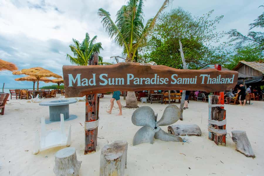 Koh Samui: Pink Dolphin Spotting & Pig Island Speedboat Tour - Morning pickup, piers, and the speedboat ride