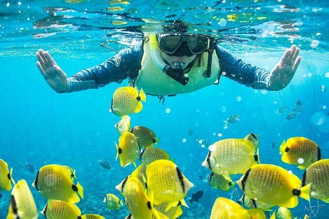 Kona Shore Excursion: Wild Dolphin Reefs Snorkel and Sea Caves - Leaving Kailua Pier for the Kona coast