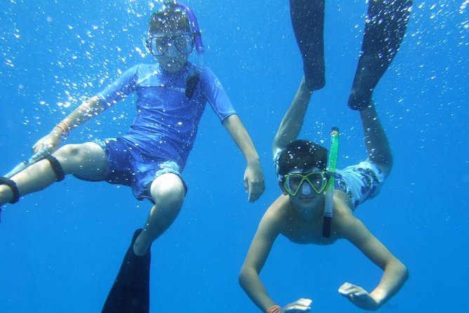 Kona Shore Excursion: Wild Dolphin Reefs Snorkel and Sea Caves - What lunch and the included gear are really worth