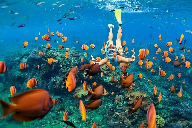 Kona Snorkel Tour: Captain Cook Reef Snorkel, Dolphin & Sea Caves - Why the Zodiac makes this Kona tour different