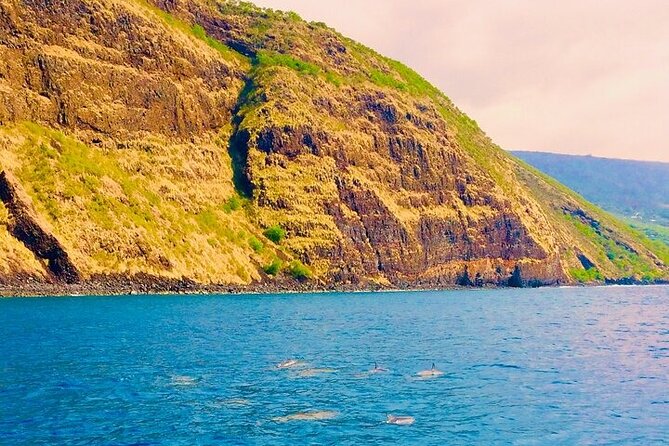 Kona Snorkel Tour: Captain Cook Reef Snorkel, Dolphin & Sea Caves - What the snorkeling is really like