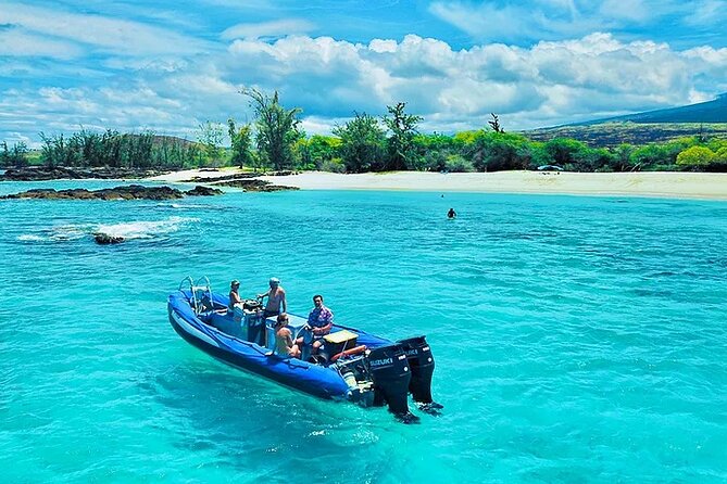 Kona Snorkel Tour: Captain Cook Reef Snorkel, Dolphin & Sea Caves - Dolphins, whales, and the fine print on wildlife