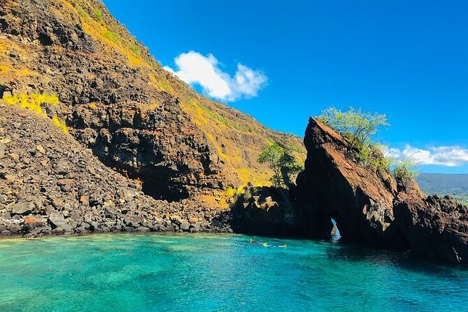 Kona Snorkel Tour: Captain Cook Reef Snorkel, Dolphin & Sea Caves - How much value do you get for $71.10?