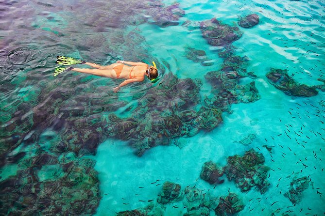 Kona Snorkel Tour: Captain Cook Reef Snorkel, Dolphin & Sea Caves - Who will enjoy this trip most?