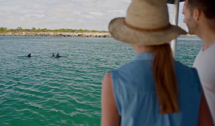 Koombana Bay: Dolphin Eco Cruise - The skipper and commentary are part of the experience