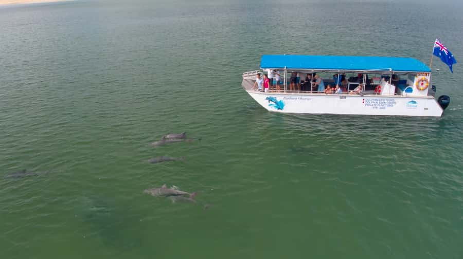 Koombana Bay: Dolphin Eco Cruise - Is the $46 price good value?