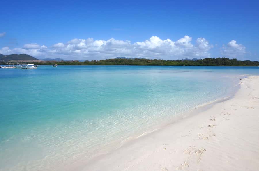 La Preneuse: Dolphin Swimming and Snorkeling Speedboat Trip - A fast ride along Mauritius’s west coast