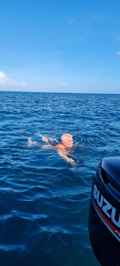La Preneuse: Dolphin Swimming and Snorkeling Speedboat Trip - Why the small group changes the value