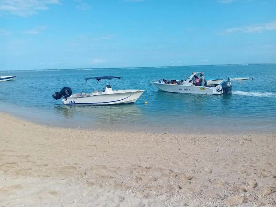 La Preneuse: Dolphin Watching and Snorkeling Speedboat Tour - A short lagoon snorkel with plenty to see
