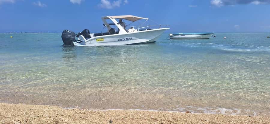 La Preneuse: Dolphin Watching and Snorkeling Speedboat Tour - Is $58 a fair price?