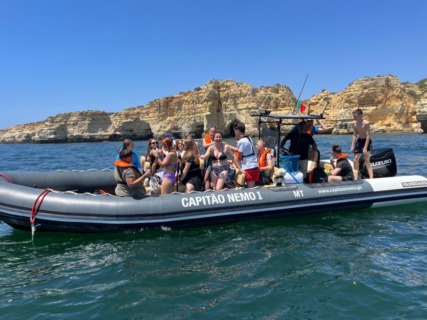 Lagoa: Dolphins Expedition with biologist guide on board - A biologist changes the way you watch dolphins