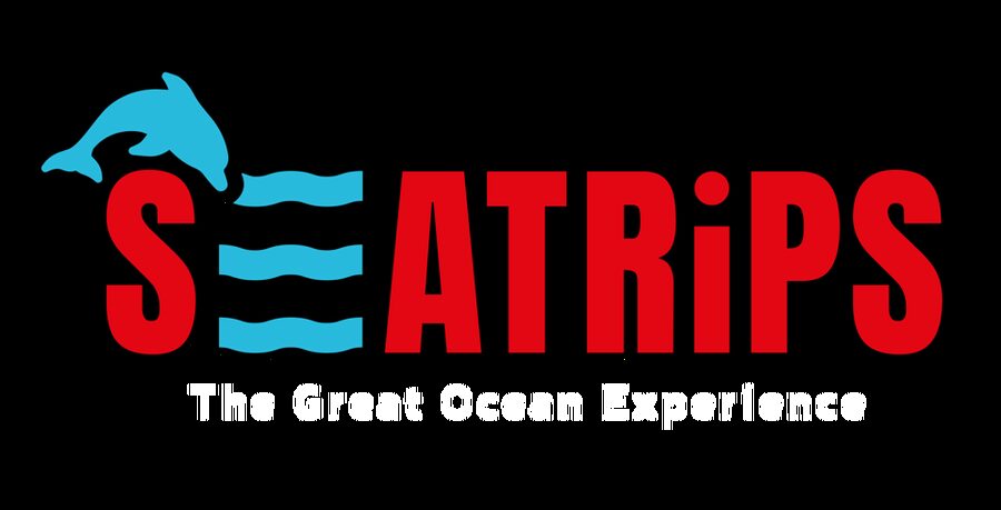 Lagos: Combo Dolphin and Benagil Tour with Marine Biologist - Two Algarve highlights in 2.5 hours