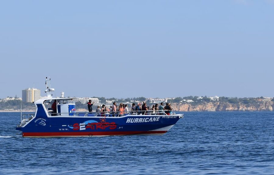 Lagos: Combo Dolphin and Benagil Tour with Marine Biologist - Simple ways to enjoy the outing more