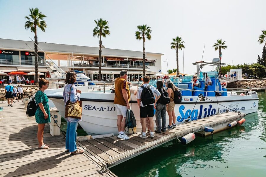 Lagos: Dolphin Watch Tour with Professional Marine Biologist - Should you book the Lagos dolphin tour?