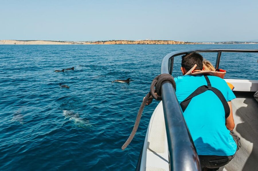 Lagos: Dolphin Watch Tour with Professional Marine Biologist - Is $42 a fair price?