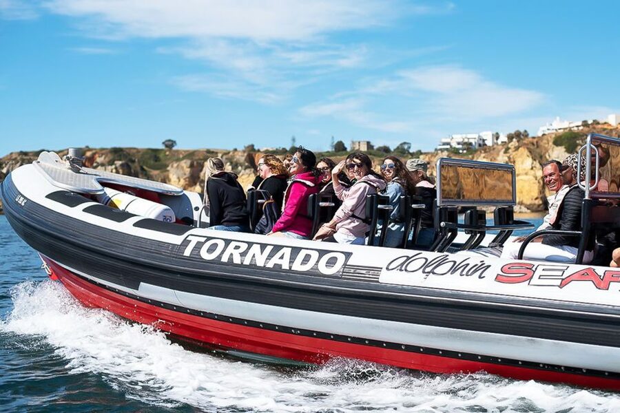 Lagos: Dolphin Watching with Professional Marine Biologists - Should you book the Lagos dolphin safari?