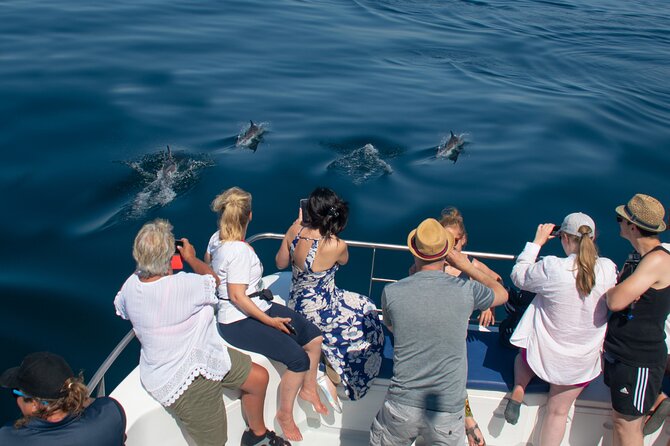 Lagos: Dolphins & Benagil Caves – Catamaran - Ponta da Piedade and the Algarve cliffs