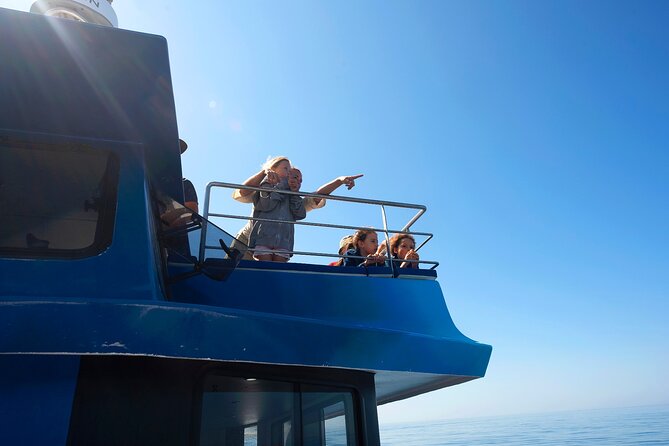 Lagos: Dolphins & Benagil Caves – Catamaran - Why the catamaran works well for families
