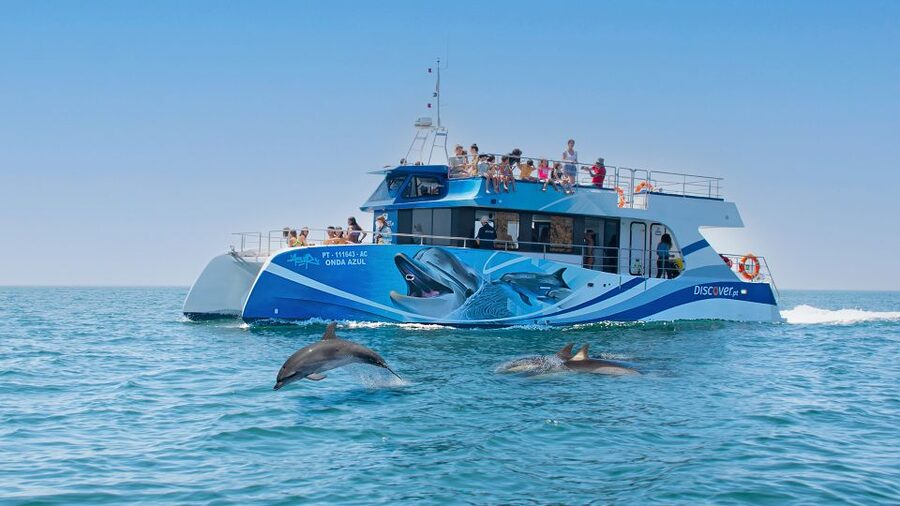 Lagos: Dolphins & Caves - Catamaran - Key points at a glance